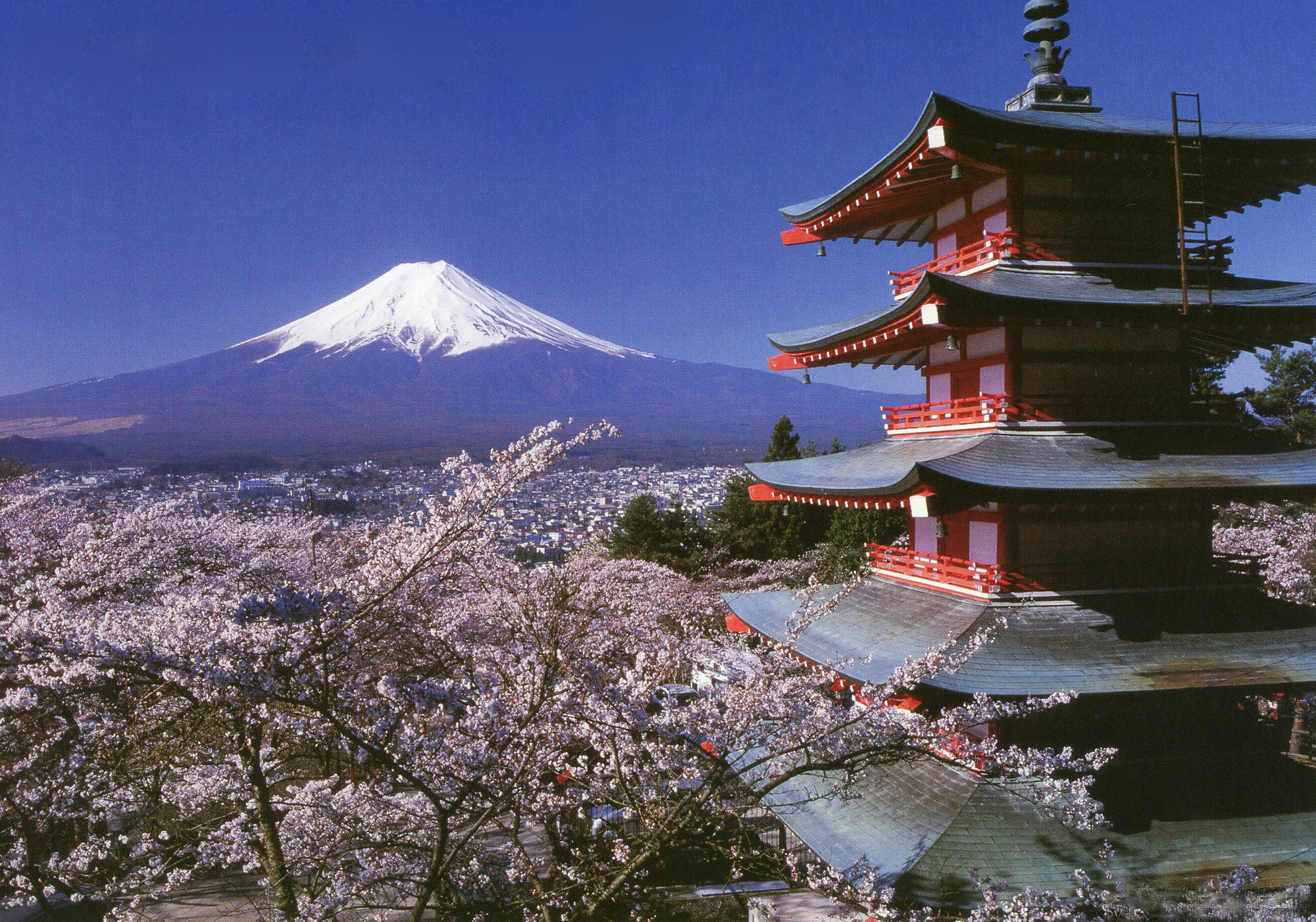 Mt Fuji Hostel Michael'S Fujiyoshida Buitenkant foto